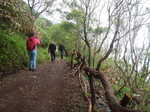 046. Naar Caldeira do Santo Cristo