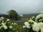 072. Pico, Sao Mateus