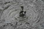 105. Mudpools