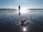 134. Strand Wanganui