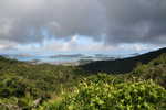 302. Onderweg naar Coromandel