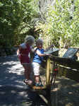 313. Waiau Waterworks