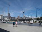 346. Auckland harbour