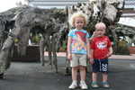 349. Kauri museum Matakohe