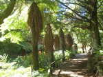 015. Pukekura Park