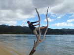 037. Anchorage Bay