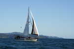 048. Restless, Tasman Bay
