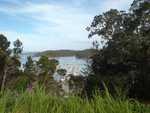 017. Opua Marina