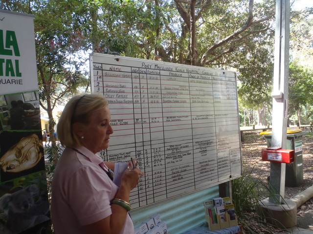 026. Koala Hospital
