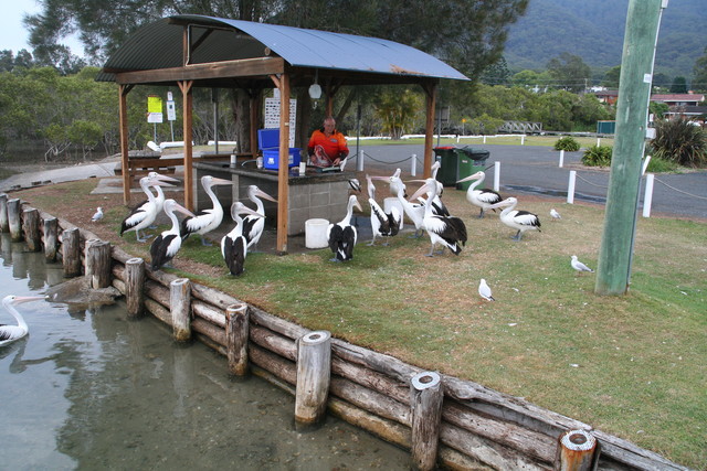 041. Laurieton public jetty
