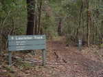 049. Laurieton track