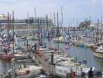 Mini transat