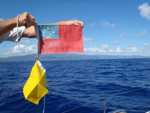 003. Samoa gastenvlag & quarantine