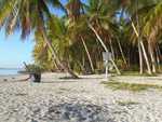 023. An Island to oneself