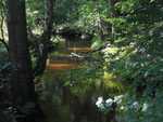 Wandelen op de Veluwe