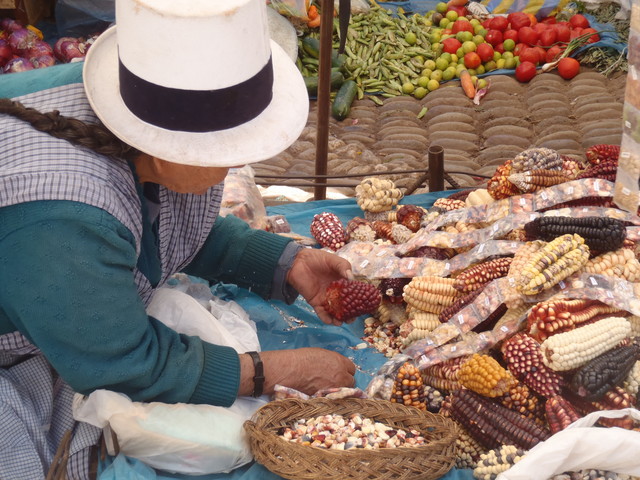035. Mercado, alle soorten mais