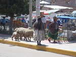 088. Puno