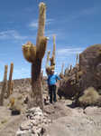 137. Isla Incahuasi