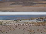 150. Laguna Canapa