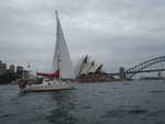 032. Nightfly in Sydney