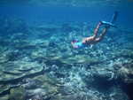 059. Maagaa Reef