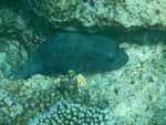 067. Maavaru Faru