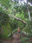 Ilha Grande 3