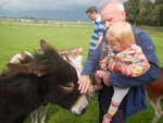 014. Ezelboerderij in Marem