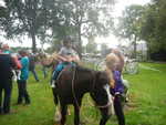 015. Roel op een pony