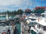 036. Bootshow Eden Marina