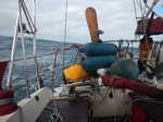 001. Wilde zee naar Engeland