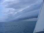 Rolwolk