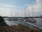 007. Galle steiger