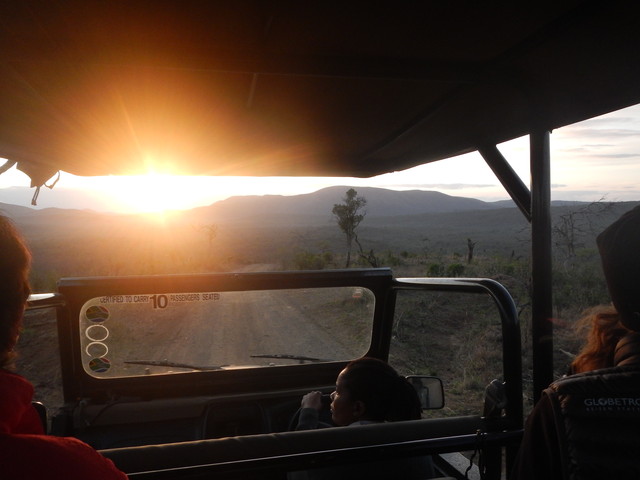 038. Met gids op safari