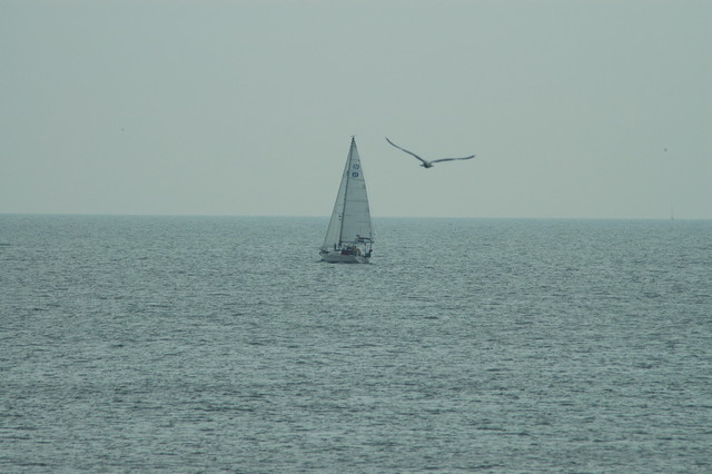 15 Jul 2007, 13:11