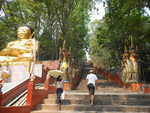 025. Wat Phra That Doi Wao