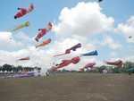 066. Kite festival