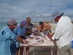 020. Shark Bay, vissers paradijs