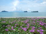 041. Tanjung Rhu Beach